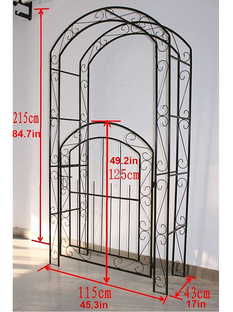 Amazon.co.jp: ガーデンアーチ 扉付き，鉄製 バラアーチ ローズ
